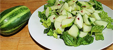 Carosello leccese - Gurkenmelonen-Salat