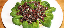Quinoa-Salat mit Petersilie, Minze, Tomate und Mozzarella