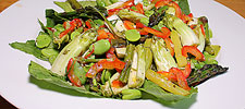 Mediterraner Salat mit Puntarelle, Fave, Spargel und Peperoni