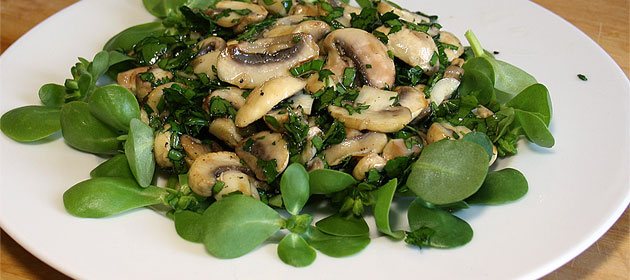 Rezept: Champignon-Kräuter-Salat auf Portulak - Rollis Rezepte