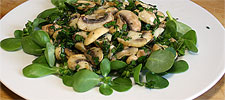 Champignon-Kräuter-Salat auf Portulak